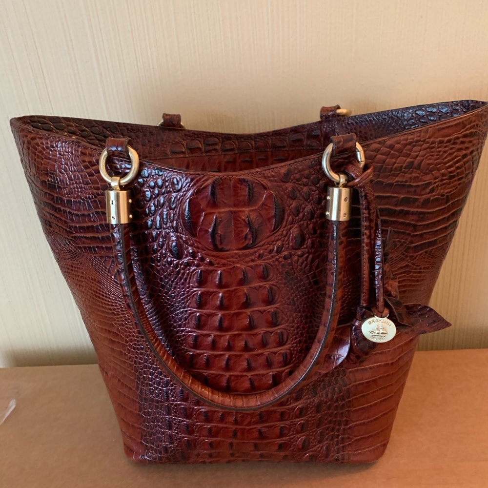 Brahmin Bag Large